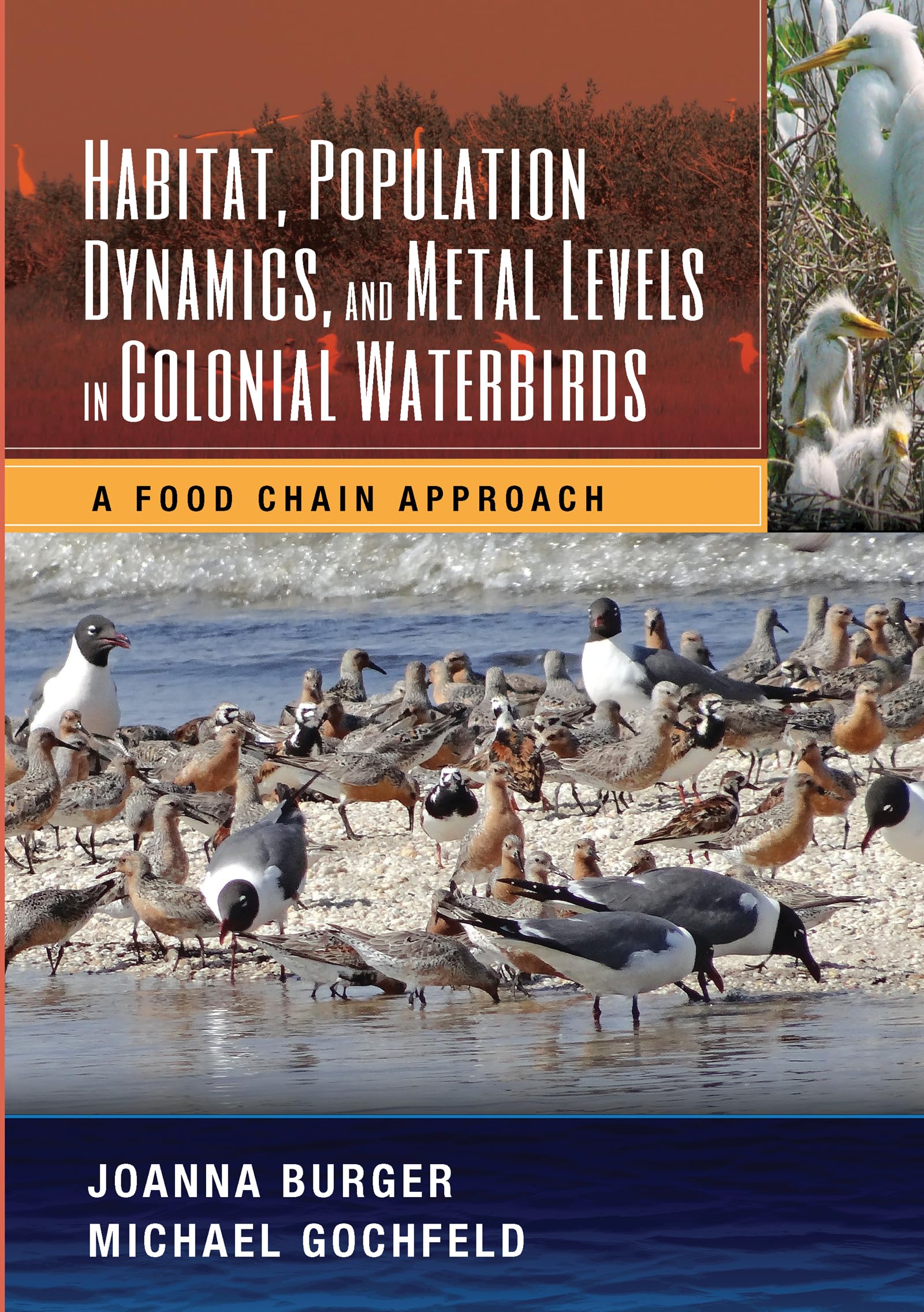 Habitat, Population Dynamics, and Metal Levels in Colonial Waterbirds: A Food Chain Approach (CRC Marine Science)