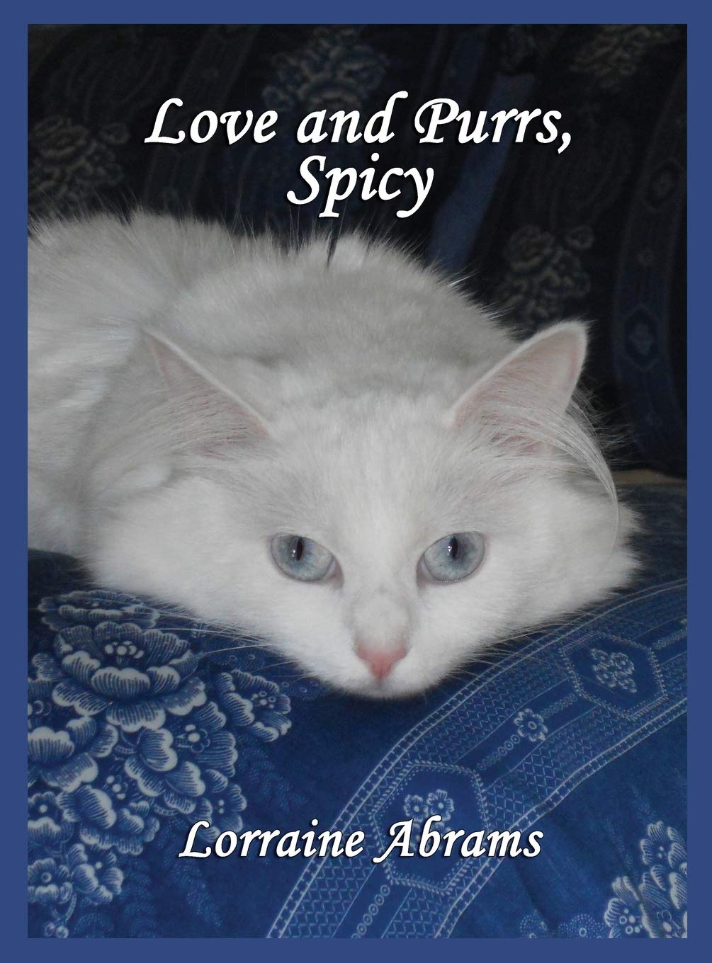 Love and Purrs, Spicy (Adventures of Spicy, Band 2)