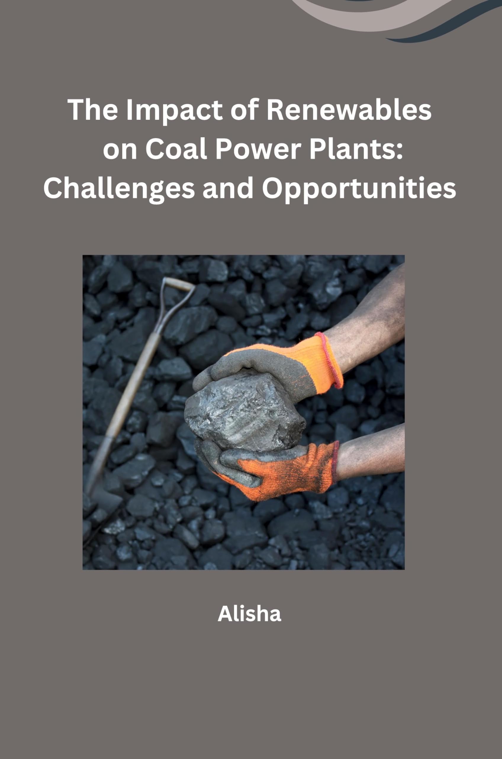 The Impact of Renewables on Coal Power Plants: Challenges and Opportunities: DE