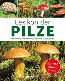 Lexikon der Pilze: Bestimmung, Verwendung, typische Doppelgänger