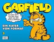 Garfield SC 03: Ein Kater von Format