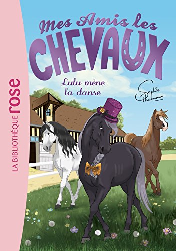 Mes amis les chevaux 22 - Lulu m&egrave;ne la danse (Poche)