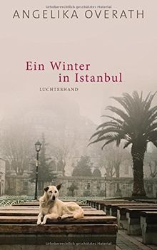 Ein Winter in Istanbul: Roman