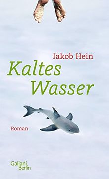 Kaltes Wasser: Roman