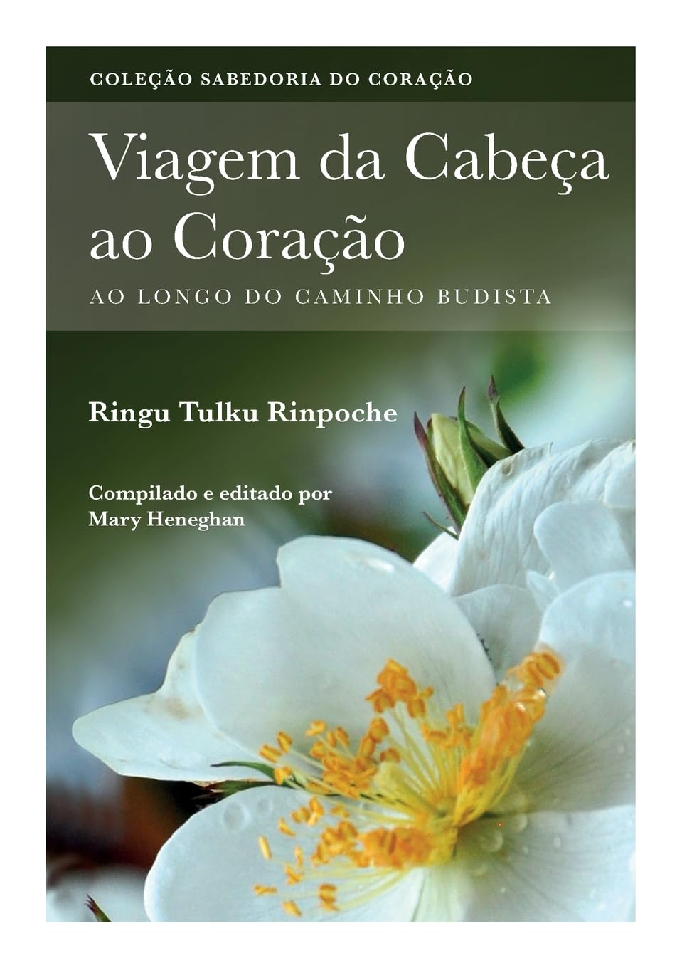 Viagem da Cabeç ao Coração: Ao longo do caminho Budista (Coleção Sabedoria Do Coração)