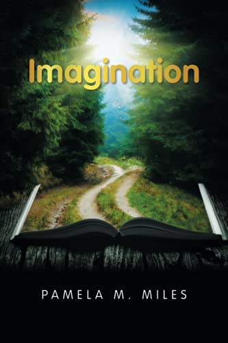 Imagination