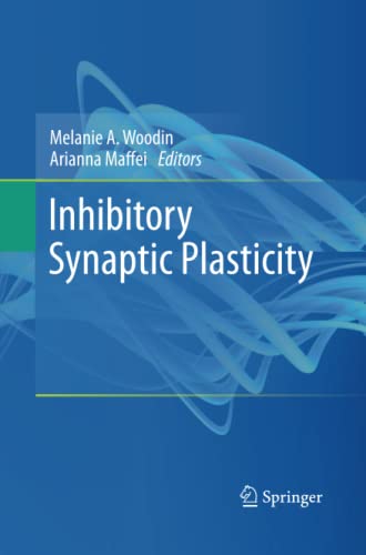 Inhibitory Synaptic Plasticity