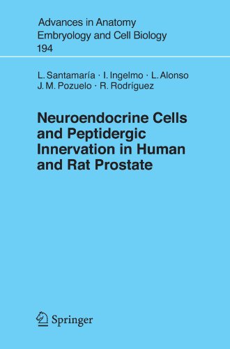 Neuroendocrine Cells and Peptidergic Innervation in Human and Rat Prostrate (Advances in Anatomy, Embryology and Cell Biology)