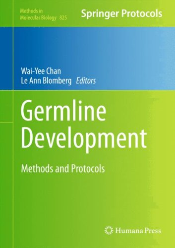 Germline Development: Methods and Protocols (Methods in Molecular Biology)