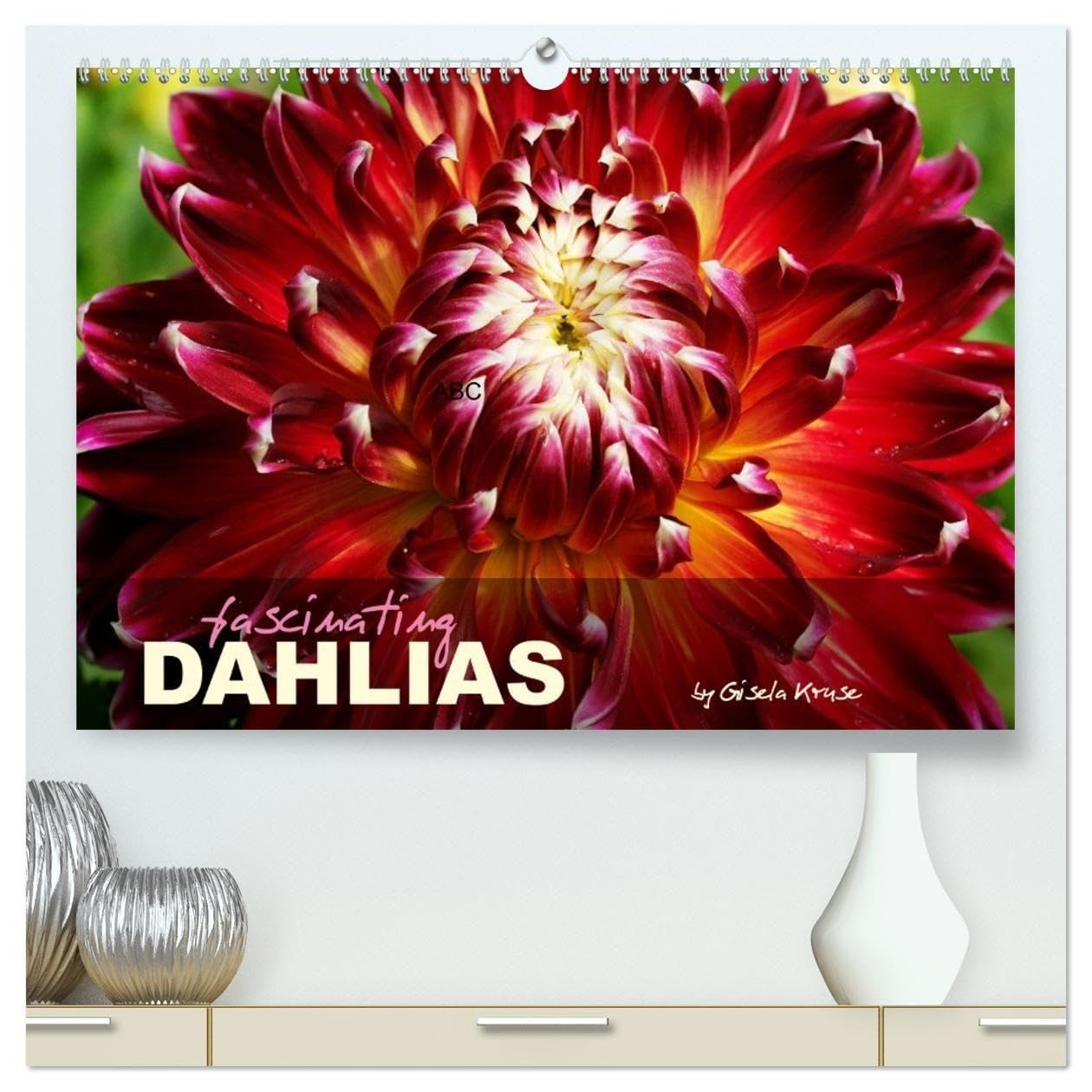 Fascinating Dahlias (High Quality Premium Wall Calendar 2026 DIN A2 landscape),CALVENDO 12 Month Wall Calendar: The wonderfully colourful variety of dahlias (CALVENDO Nature)