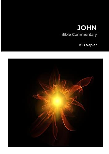 JOHN: Bib le Commentary