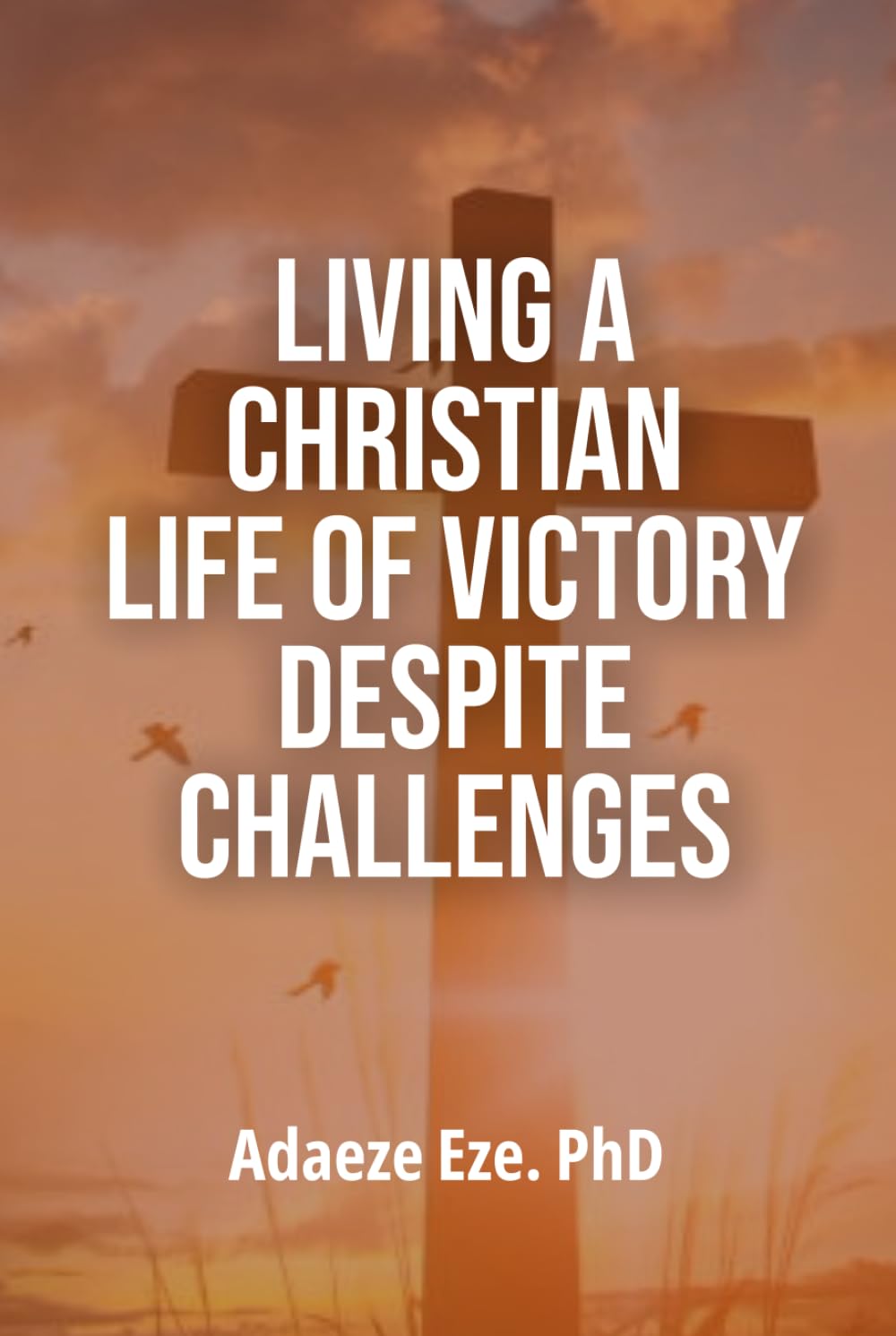 Living a Christian Life of Victory Despite Challenges