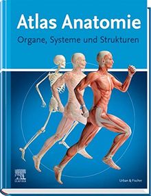 Atlas Anatomie für Laien