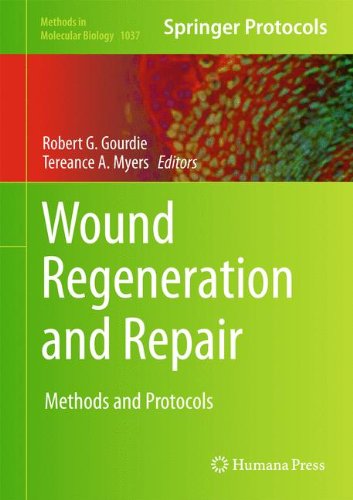 Wound Regeneration and Repair: Methods and Protocols (Methods in Molecular Biology)