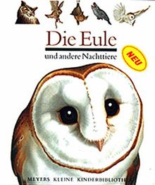 Die Eule und andere Nachttiere