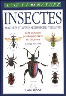 Insectes von McGavin, George | Buch | Zustand gut