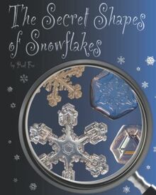 The Secret Shapes of Snowflakes