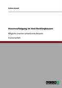 Hexenverfolgung im Vest Recklinghausen: Mögliche Ursachen anhand eines Beispiels