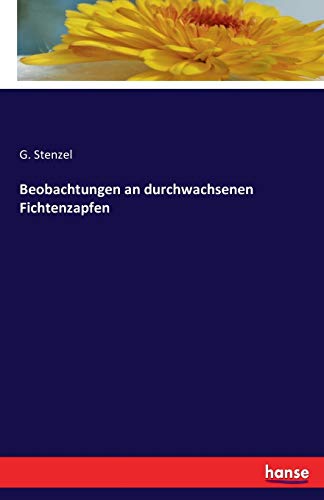 Beobachtungen an durchwachsenen Fichtenzapfen