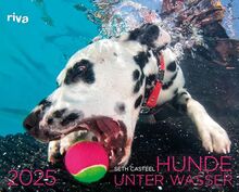 Hunde unter Wasser 2025: Wandkalender. Mit 12 einzigartigen Fotografien. Tolles Geschenk für alle Hundebesitzer, Hundeliebhaber zu Weihnachten, Geburtstag