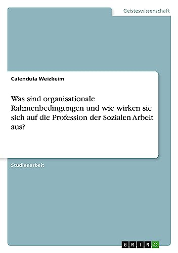 Was sind organisationale Rahmenbedingungen und wie wirken sie sich auf die Profession der Sozialen Arbeit aus?