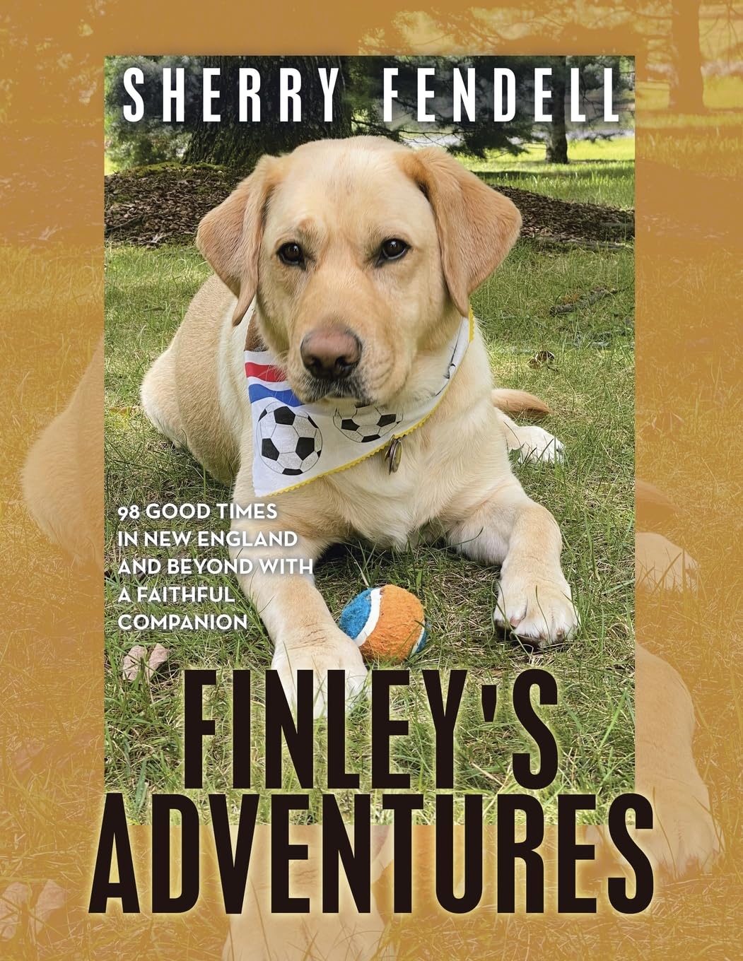 Finley's Adventures: 98 Good Times in New England and Beyond with a Faithful Companion