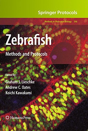 Zebrafish: Methods and Protocols (Methods in Molecular Biology)