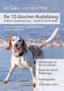 Die 12-Wochen-Ausbildung: Einfache Hundeerziehung - Schritt für Schritt erklärt