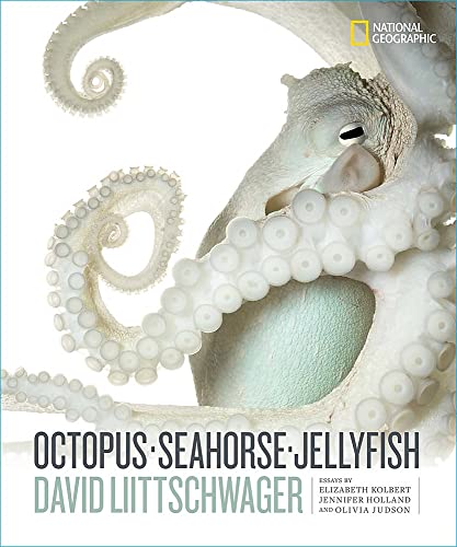 David Liittschwager Octopus, Seahorse, Jellyfish