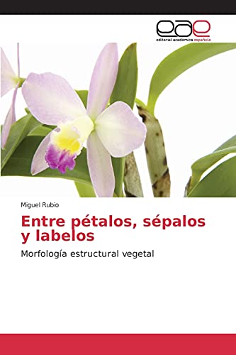 Entre pétalos, sépalos y labelos: Morfología estructural vegetal