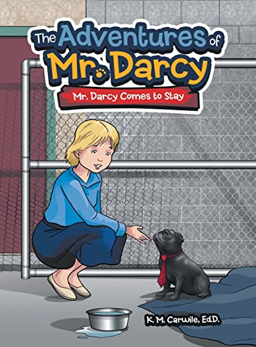 The Adventures of Mr. Darcy: Mr. Darcy Comes to Stay