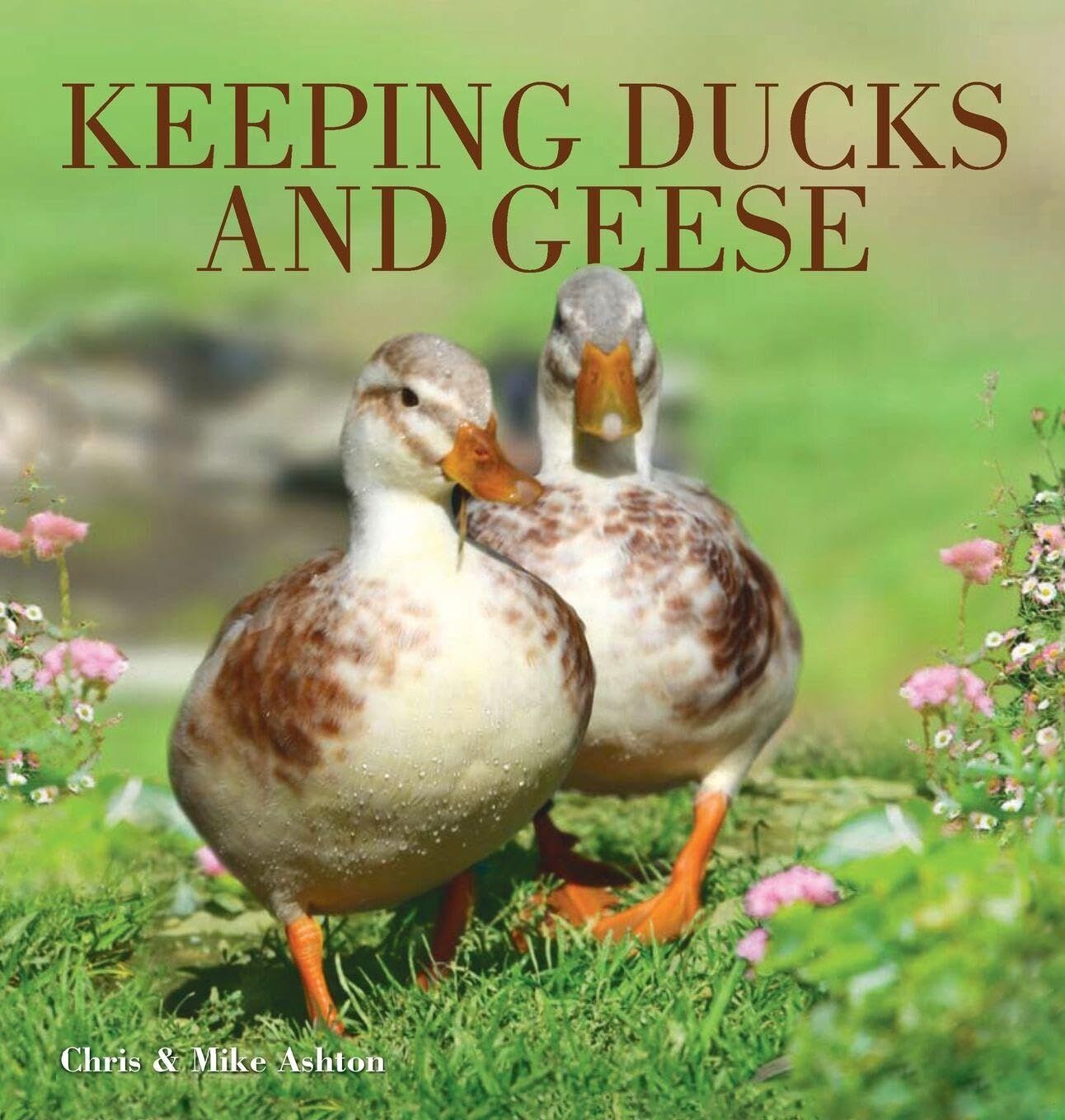 Keeping Ducks & Geese