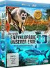 Die große Enzyklopädie unserer Erde: Nord- und Südamerika (Amerikas Südwesten 3D, Faszination Regenwald 3D, Die Südsee 3D) (3 Disc Set) [3D Blu-ray]