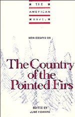 New Essays on The Country of the Pointed Firs (The American Novel)