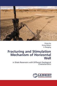 Fracturing and Stimulation Mechanism of Horizontal Well: in Shale Reservoirs with Different Geological Characteristics