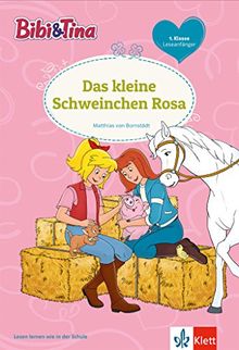 Bibi und Tina - Thema 11: Lesen lernen - 1. Klasse ab 6 Jahren (Bibi und Tina - Lesen lernen mit dem Schulbuchprofi)