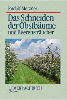 Das Schneiden der Obstbäume und Beerensträucher