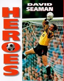 David Seaman (Soccer Heroes)