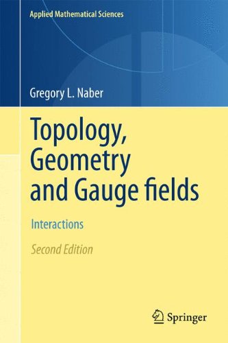 Topology, Geometry and Gauge fields: Interactions (Applied Mathematical Sciences)