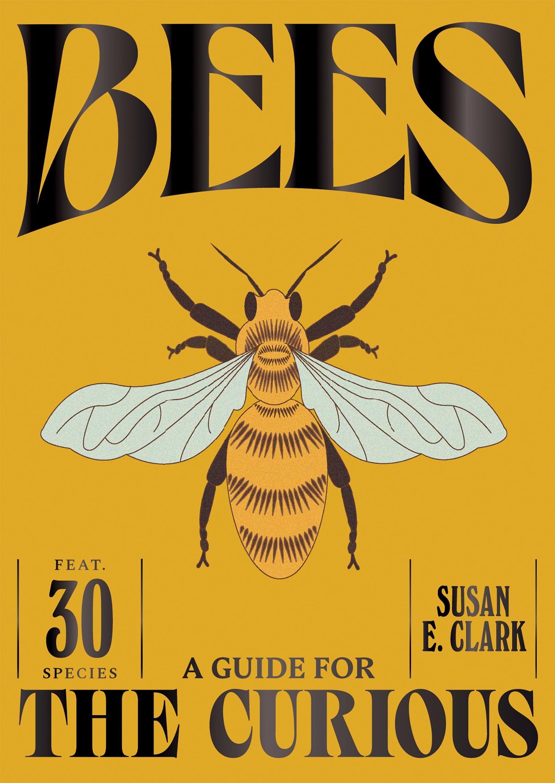 Bees: A Guide For the Curious