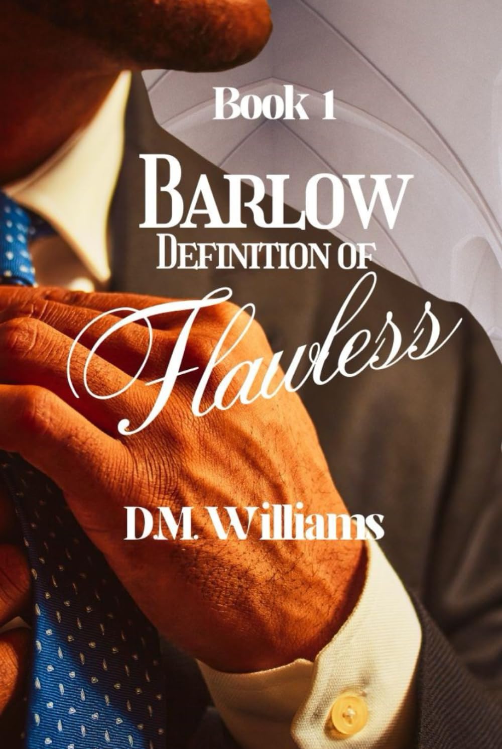 Barlow Definition of Flawless (The Barlow Trilogy, Band 1)