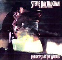 Couldn'T Stand the Weather [Vinyl LP]