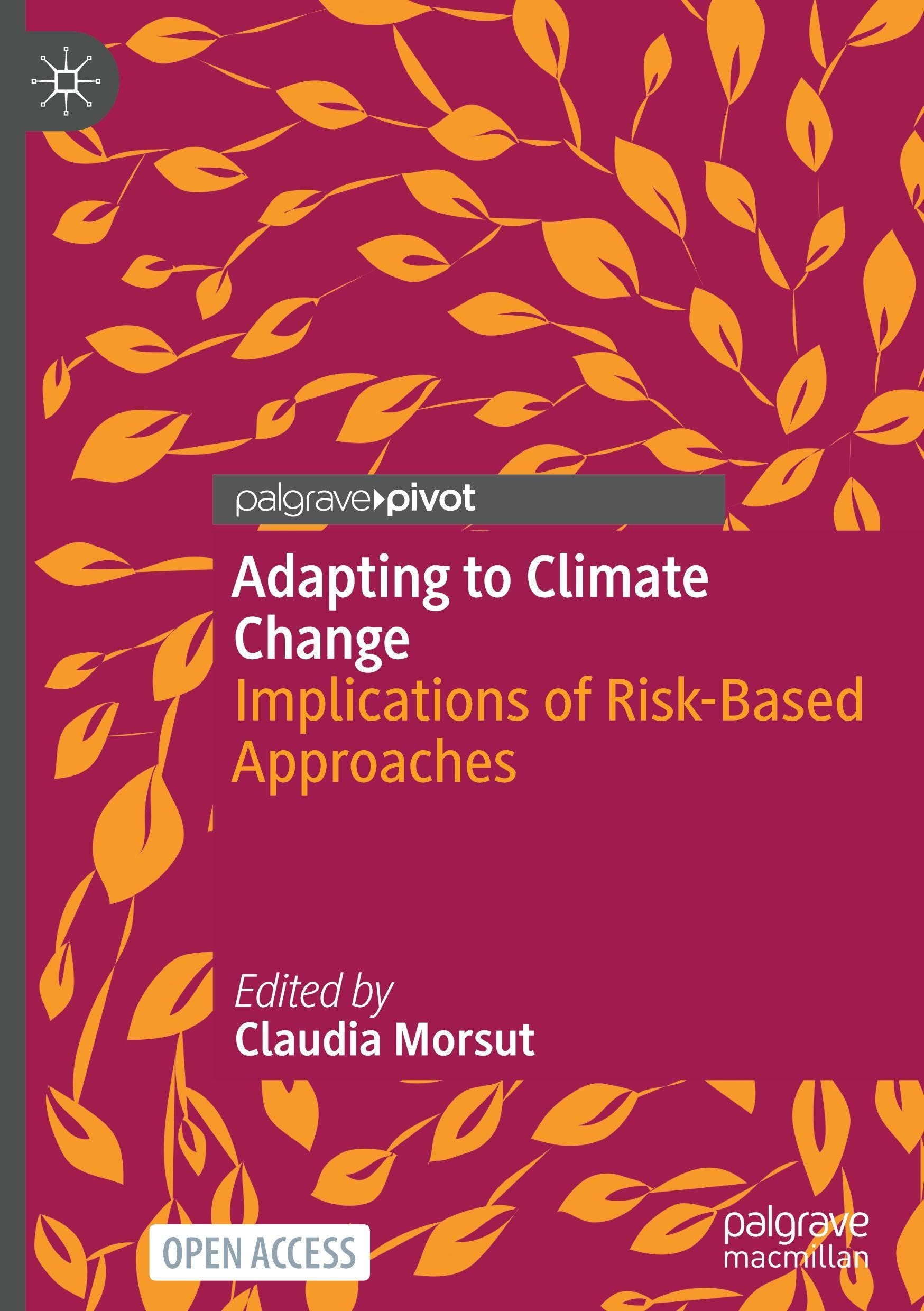 Adapting to Climate Change: Implications of Risk-Based Approaches