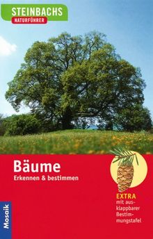 Bäume