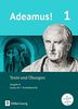 Adeamus! - Ausgabe B - Latein als 1. Fremdsprache / Band 1 - Texte, Übungen, Begleitgrammatik