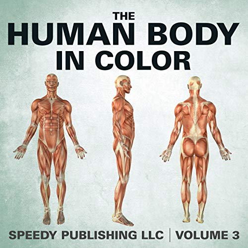 The Human Body In Color