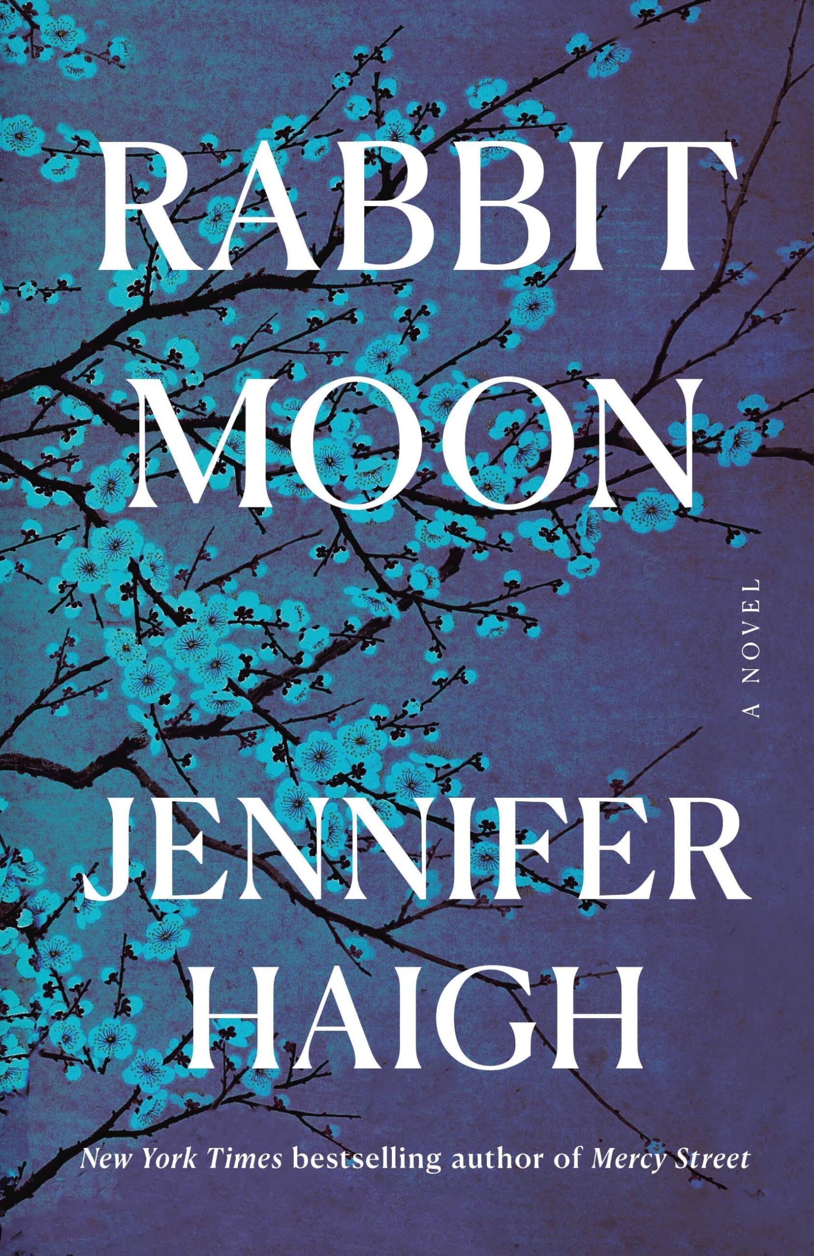 Rabbit Moon: A Novel
