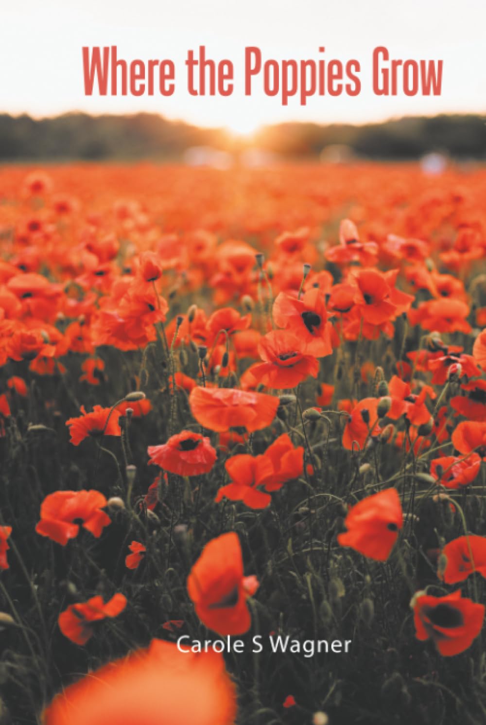 Where the Poppies Grow