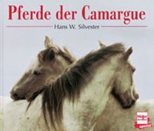 Pferde der Camargue