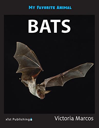 My Favorite Animal: Bats